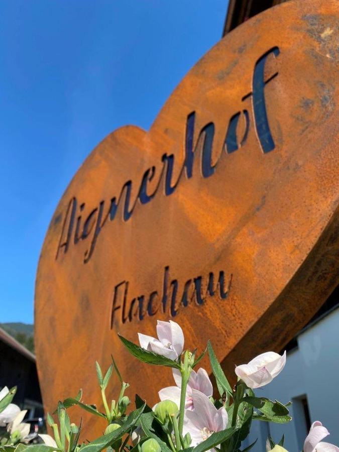 Aignerhof Lejlighed Flachau Eksteriør billede
